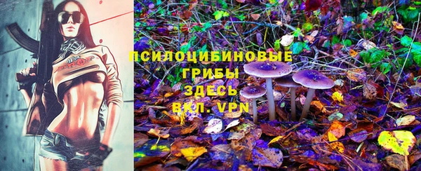 амф Алексеевка