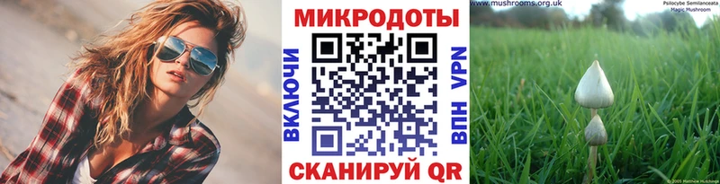 Галлюциногенные грибы Psilocybe  ссылка на мегу tor  Апшеронск  купить  сайты 